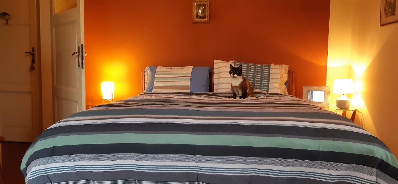 B&B Villa Margherita Lesa Buitenkant foto
